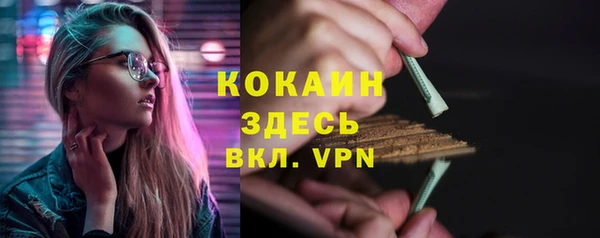гидра Михайловск