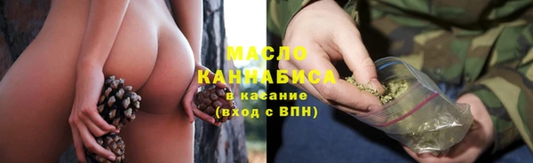 гидра Михайловск