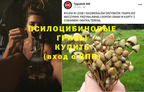 гидра Михайловск