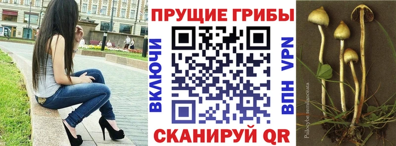 мориарти состав  Жердевка  Псилоцибиновые грибы Cubensis 